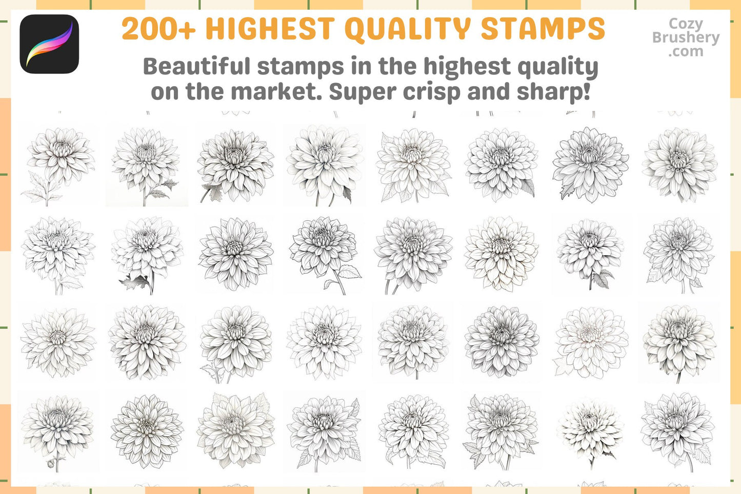 200+ Procreate Dahlia Stamps For Enchanting Digital Art - Cozy Brushery