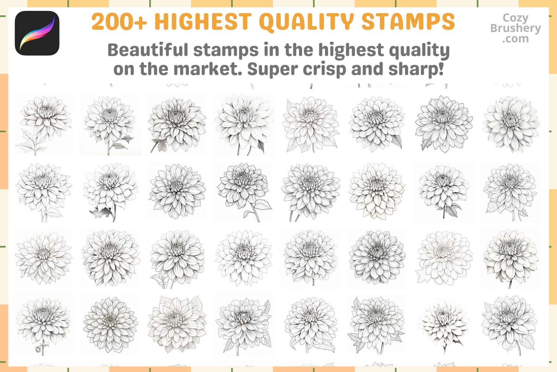 200+ Procreate Dahlia Stamps For Enchanting Digital Art - Cozy Brushery