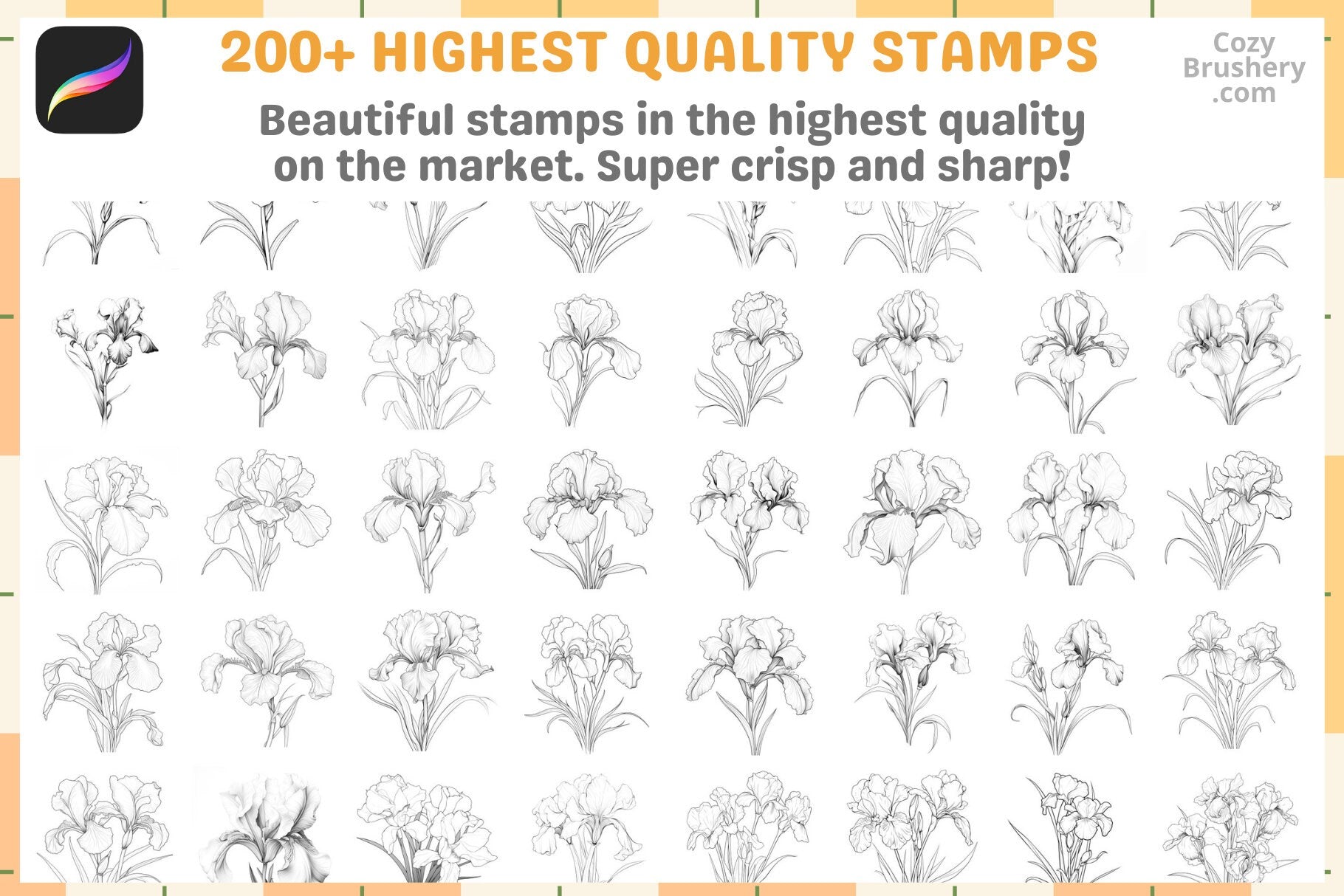 200+ Procreate Iris Flower Stamps For Digital Art Download - Cozy Brushery