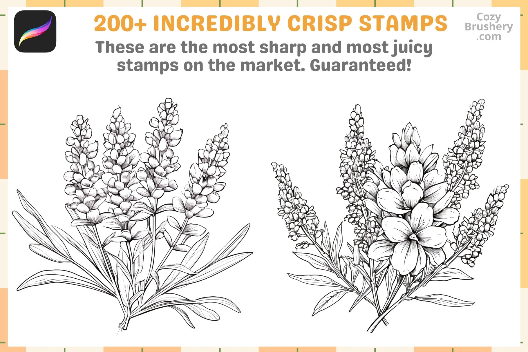 200+ Procreate Lavender Stamps For Serene Digital Art - Cozy Brushery