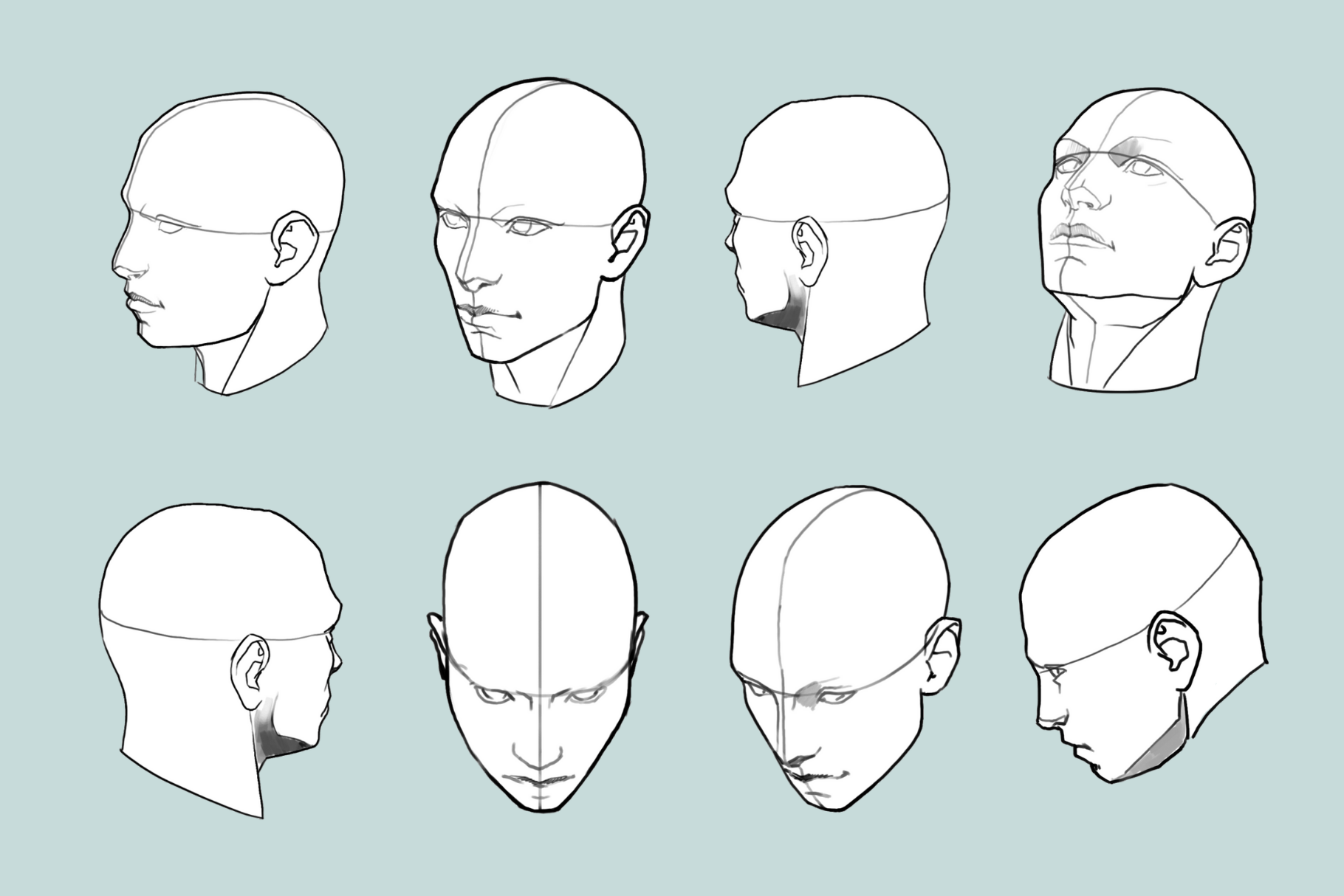 Male Anatomy Reference Set – 36 Procreate Stamps for Studies - Cozy Brushery