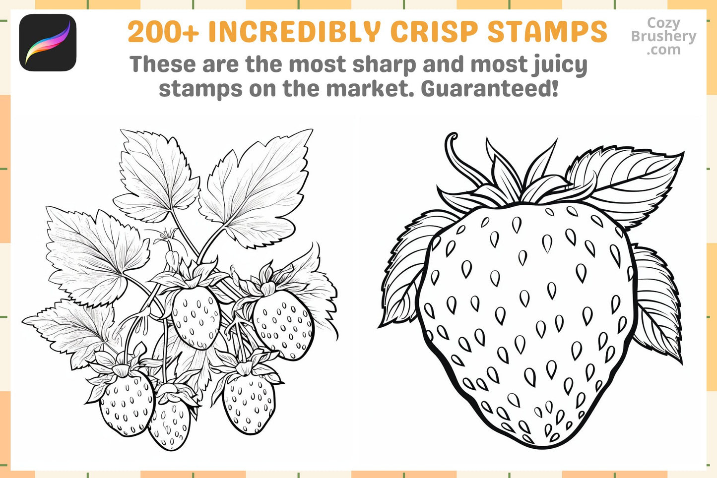 Procreate Brushes Strawberry Fields Pack 200 Plus Fruit Stamps - Cozy Brushery