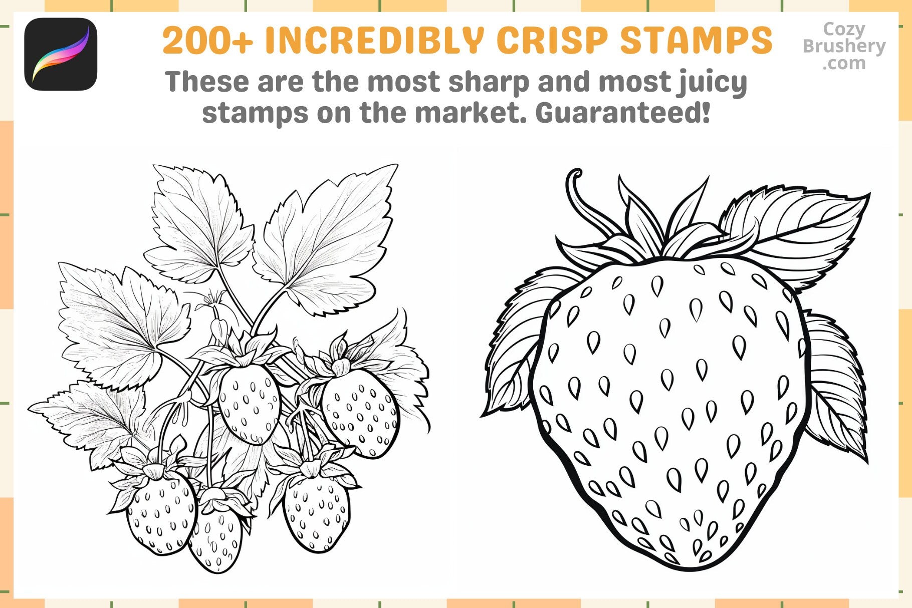 Procreate Brushes Strawberry Fields Pack 200 Plus Fruit Stamps - Cozy Brushery