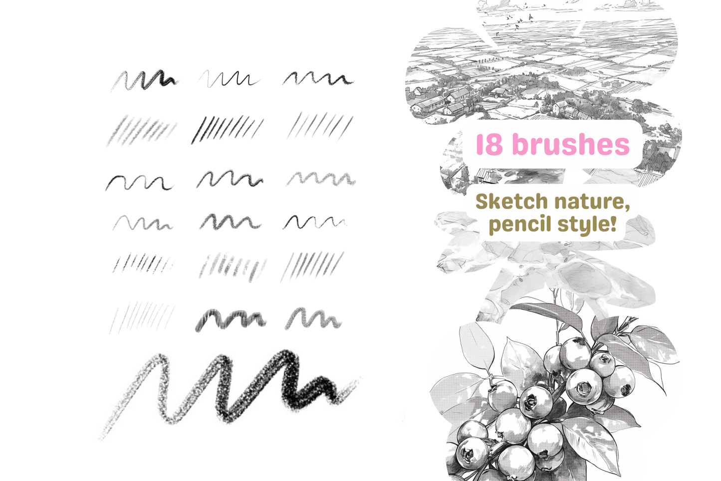 Procreate Pencil Brushes – 18 Realistic Nature Art Brushes - Cozy Brushery