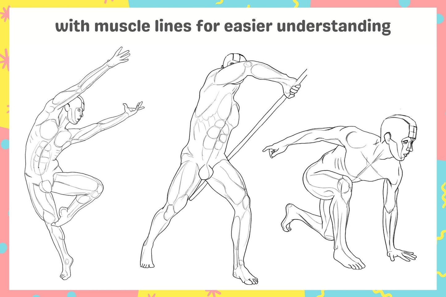 60 Realistic Male Anatomy Pose Stamps - Procreate Muscle and Body Guide - Cozy Brushery