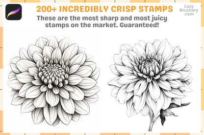 200+ Procreate Dahlia Stamps, Lush Dahlia Brushes For Enchanting Digital Art, Instant Download