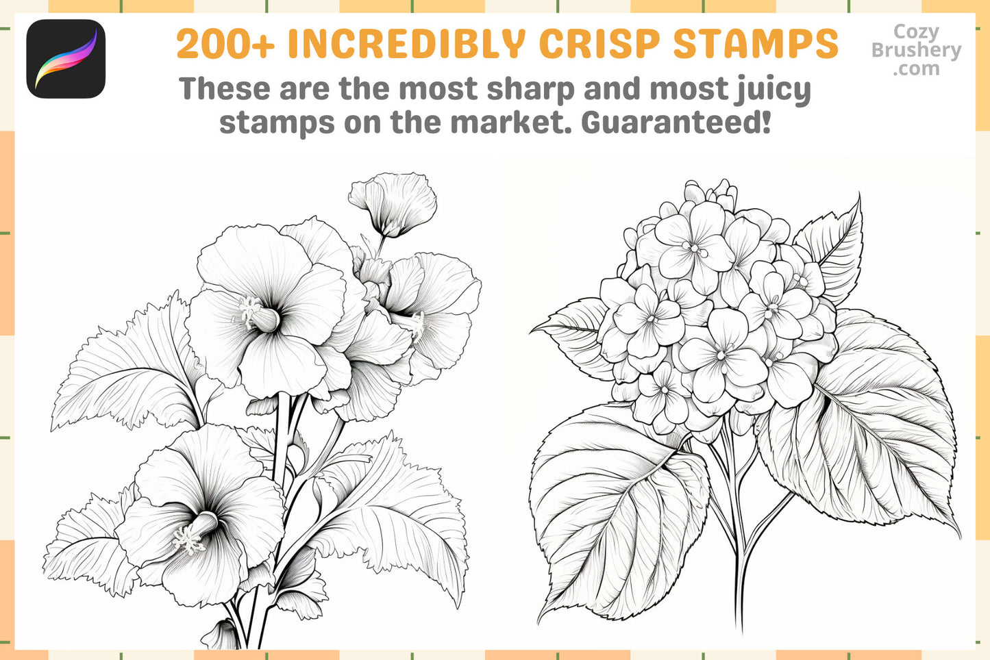 200+ Procreate Mixed Flowers Stamps, Diverse Floral Brushes For Vibrant Digital Art, Instant Download