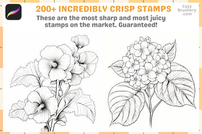 200+ Procreate Mixed Flowers Stamps, Diverse Floral Brushes For Vibrant Digital Art, Instant Download