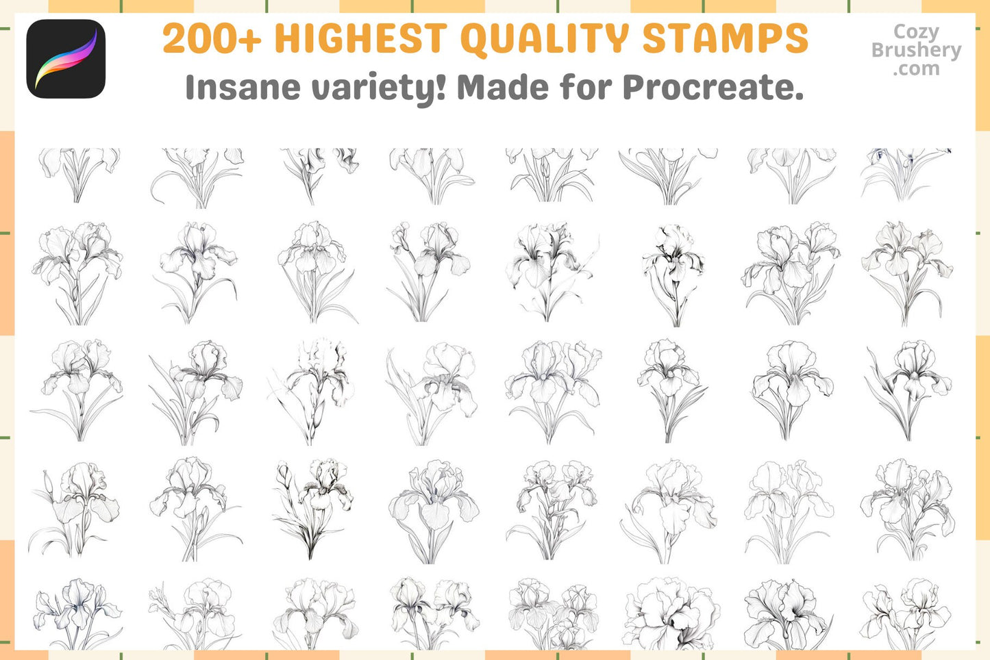 200+ Procreate Iris Flower Stamps, Elegant Iris Brushes For Artistic Digital Creations, Instant Download