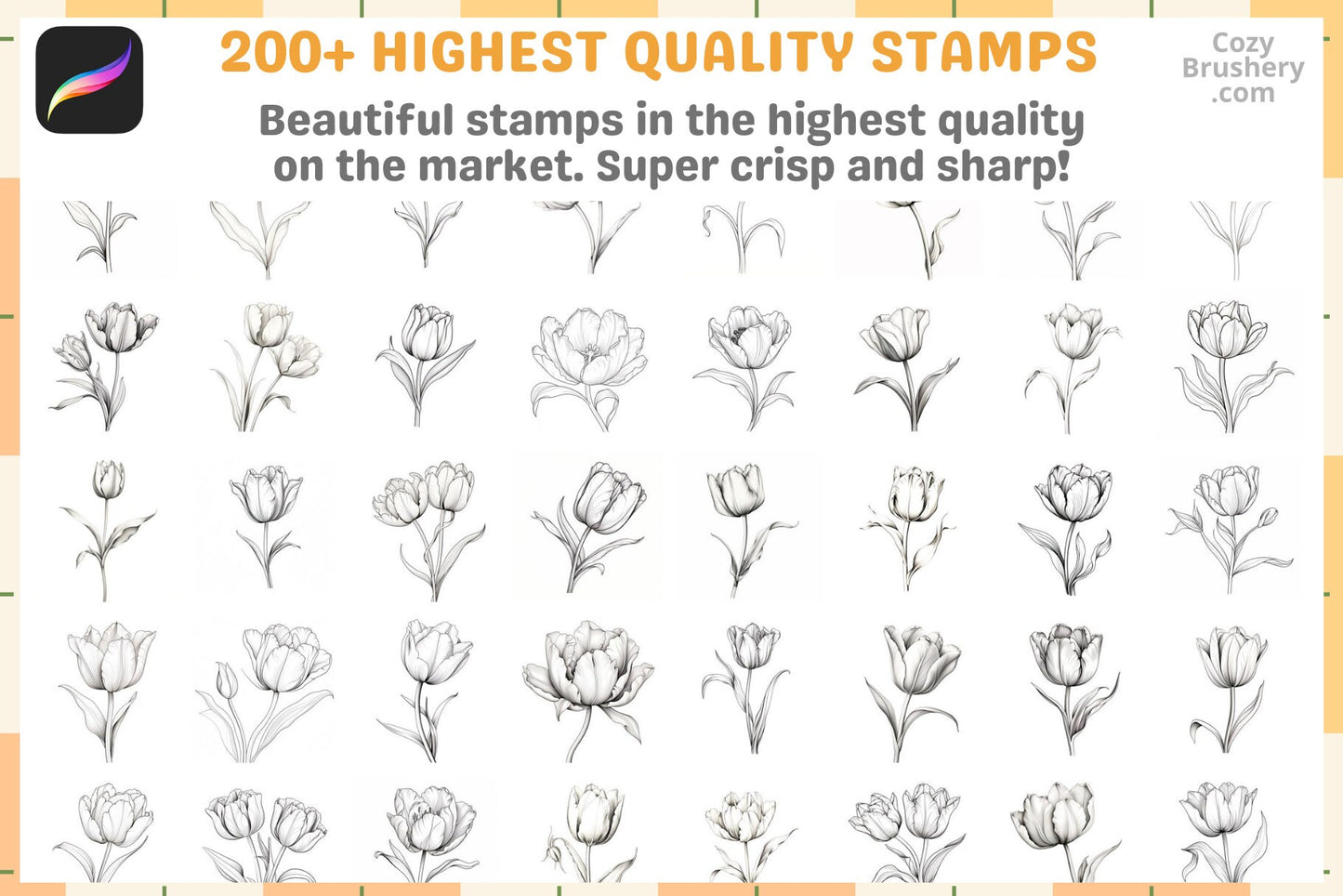 200+ Procreate Tulip Stamps, Exquisite Tulip Brushes For Digital Art, Instant Download, Flower Art Stamps