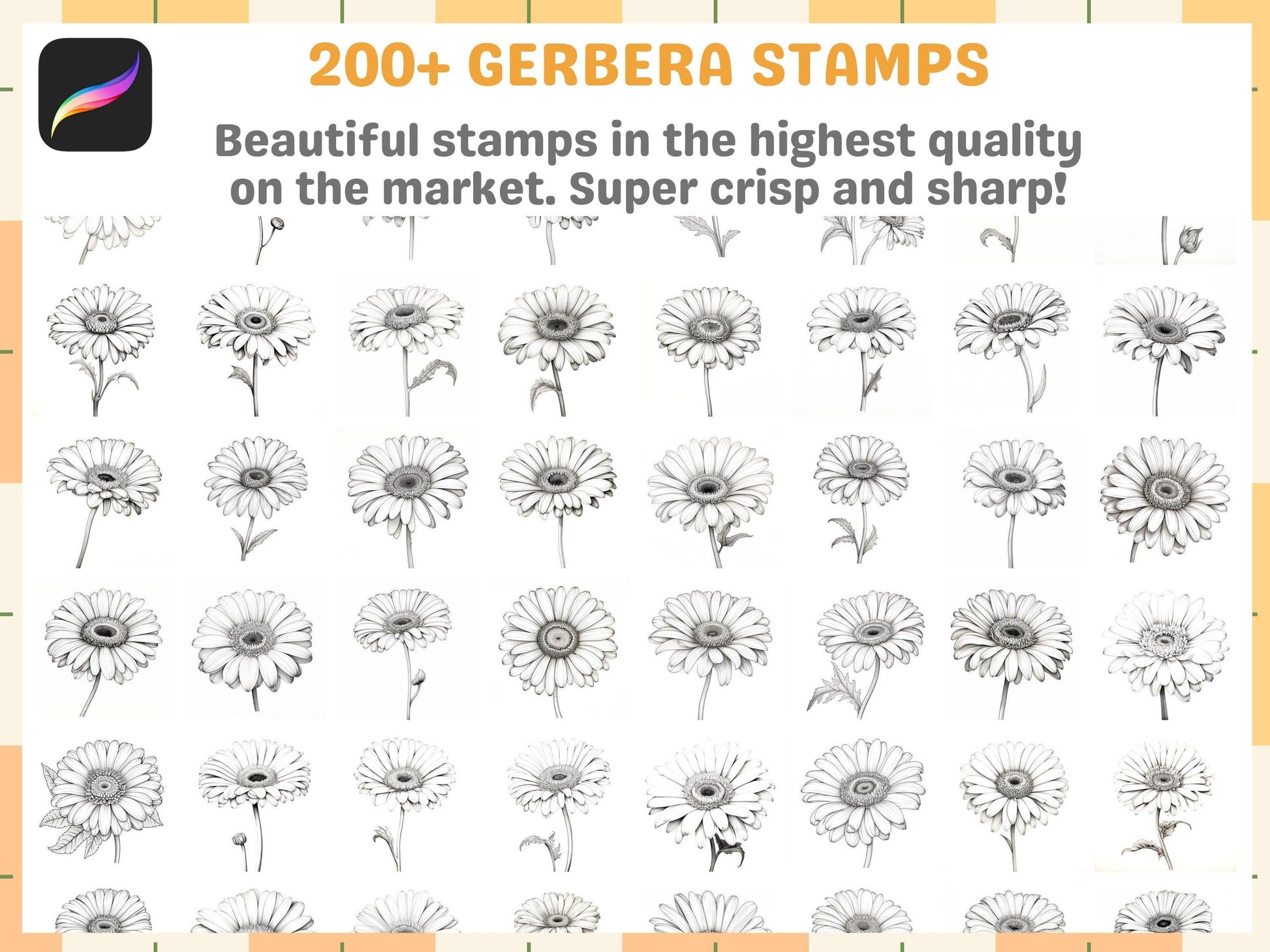 207+ Procreate Gerbera Flower Stamps, Vibrant Floral Brushes for Digital Art, Instant Digital Download - Cozy Brushery