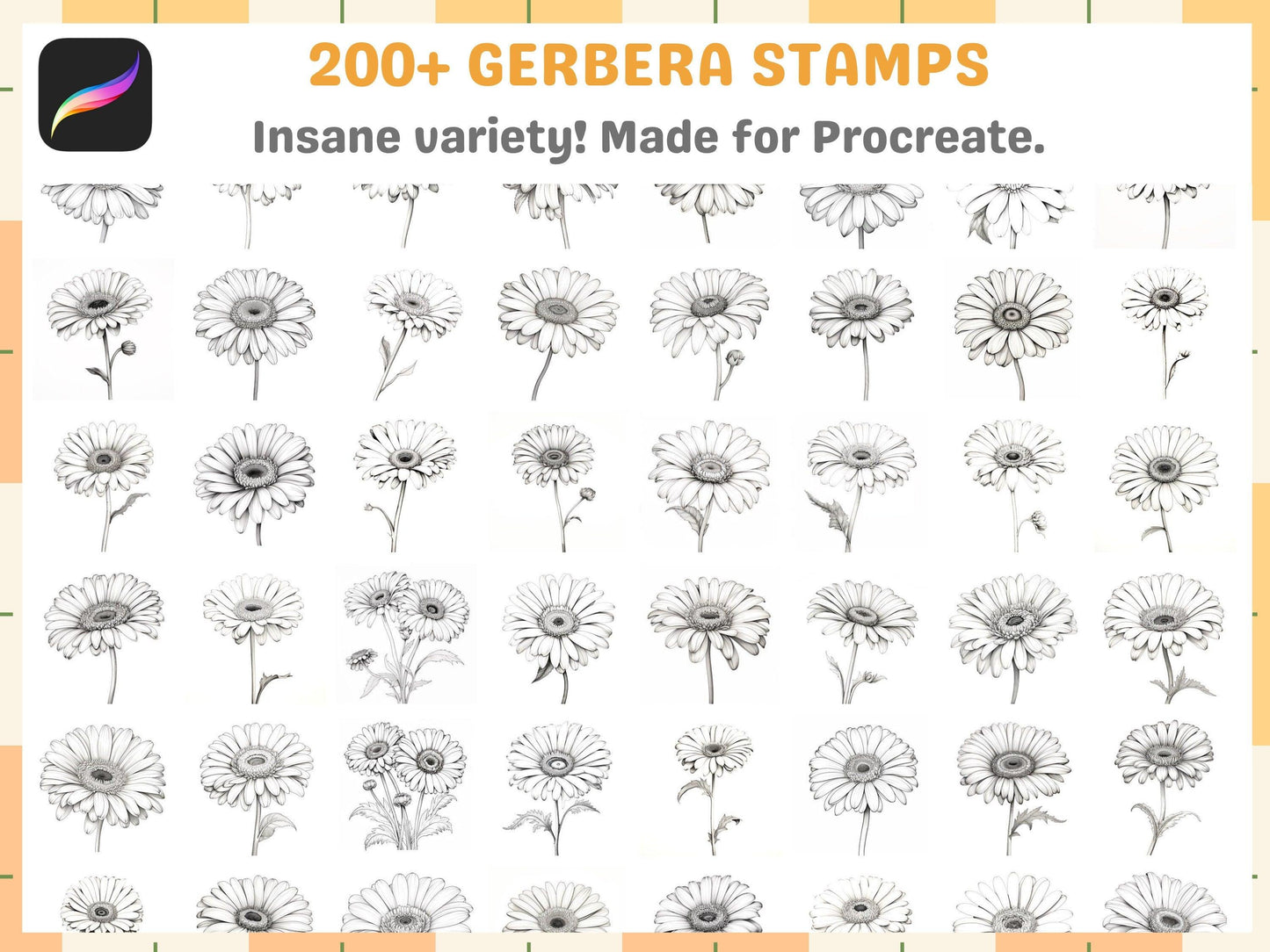 207+ Procreate Gerbera Flower Stamps, Vibrant Floral Brushes for Digital Art, Instant Digital Download - Cozy Brushery