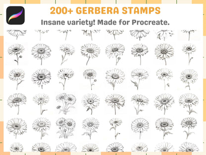 207+ Procreate Gerbera Flower Stamps, Vibrant Floral Brushes for Digital Art, Instant Digital Download - Cozy Brushery