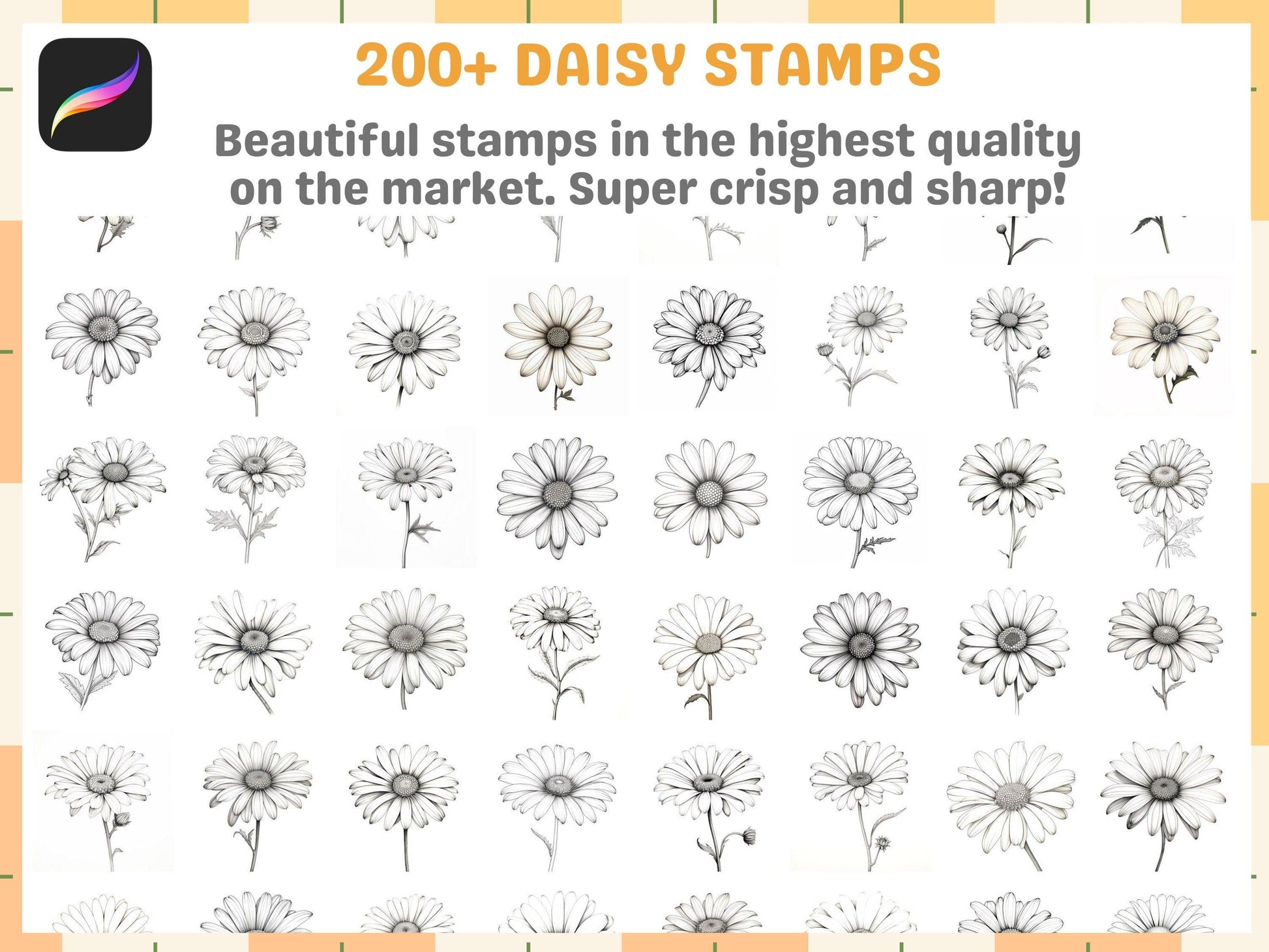 210+ Procreate Daisy Flower Stamps, Ultimate Daisy Brushes for Procreate, Floral Lineart, Instant Download - Cozy Brushery