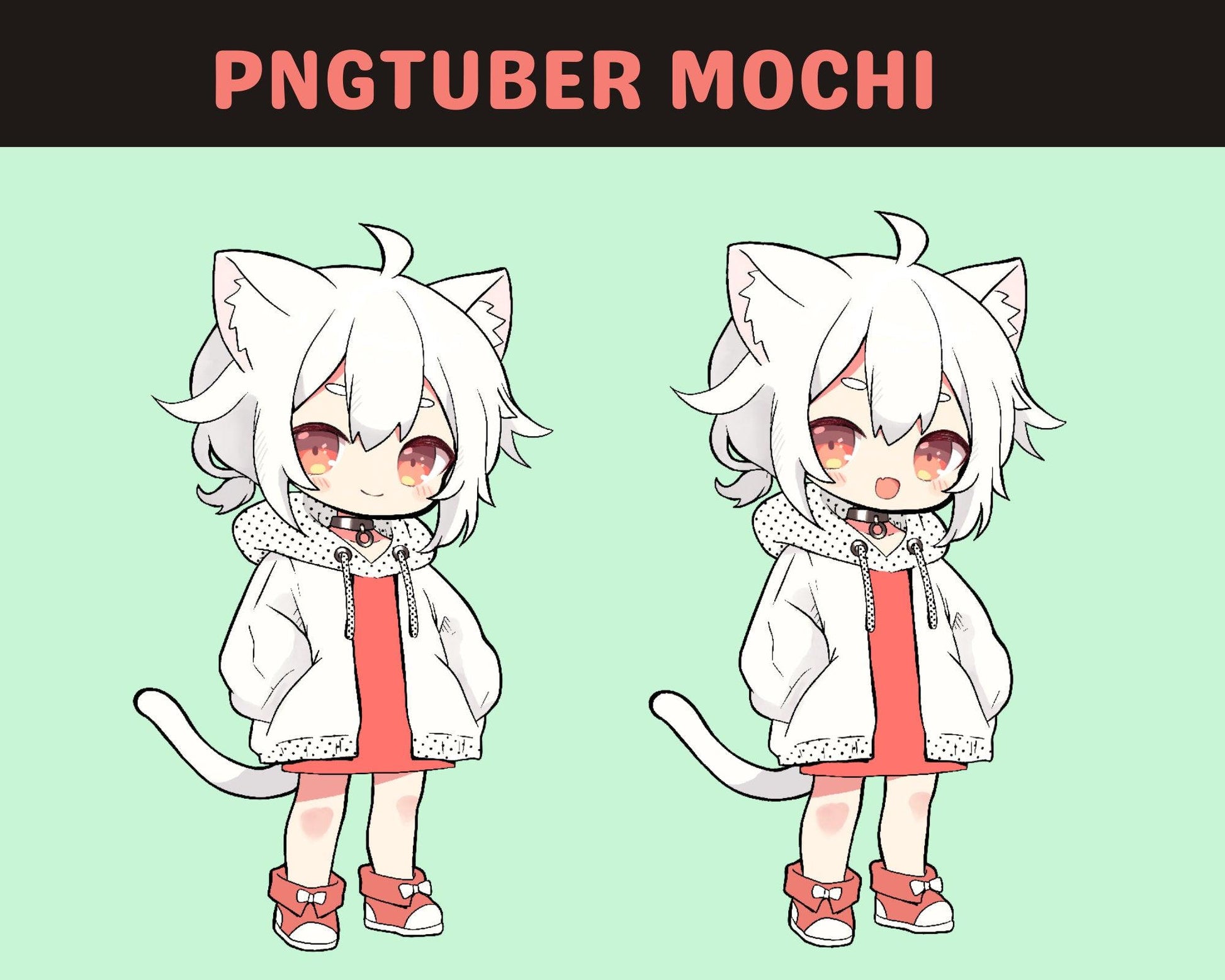 Premade Cute Cat Chibi Girl PNG Tuber Plus Finished Animated Model Mochi with Blinking and Talking Animation, vtuber 2d illustration Model - Cozy Brushery